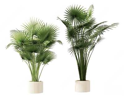 现代植物盆栽3D模型下载